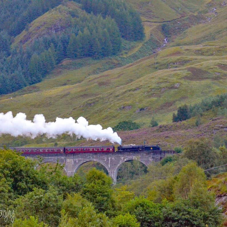  


Children of all ages will enjoy watching the Jacobite steam train  made famous by the Harry Potter films cross the viaduct at Glenfinnan.
